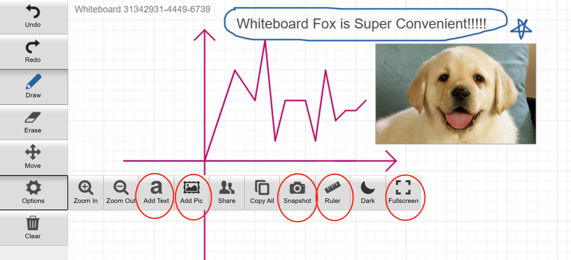 What is Whiteboard Fox and How does it Work